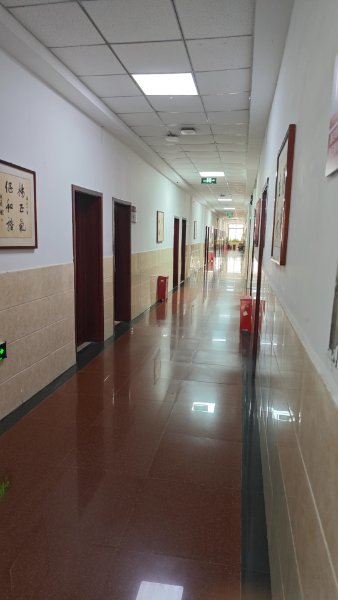 动态图片